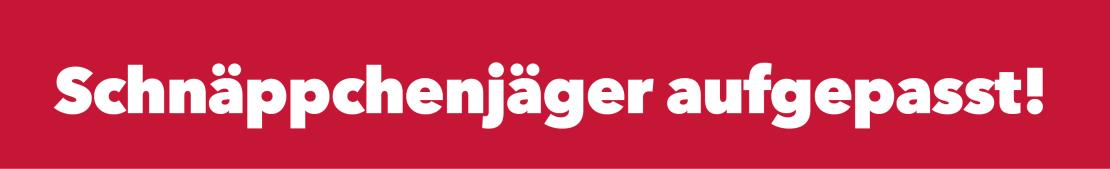 Banner Schnaeppchen